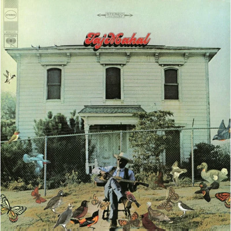 Taj Mahal - Taj Mahal - Music on Vinyl - LP