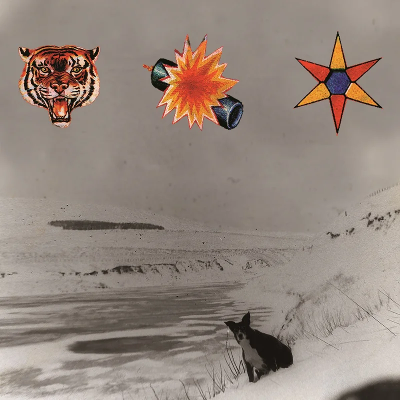 The Beta Band - The Three E.P's - LP