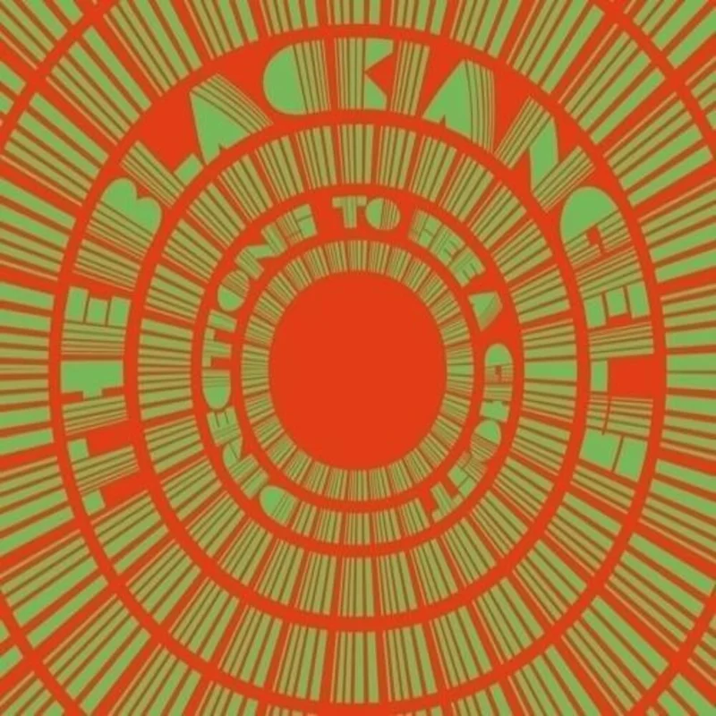 The Black Angels - Directions to See [LP]