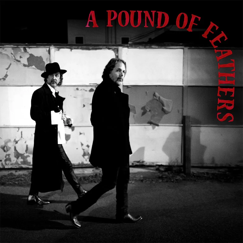 THE BLACK CROWES - A Pound Of Feathers - LP - 180g Black Vinyl [MAR 13]
