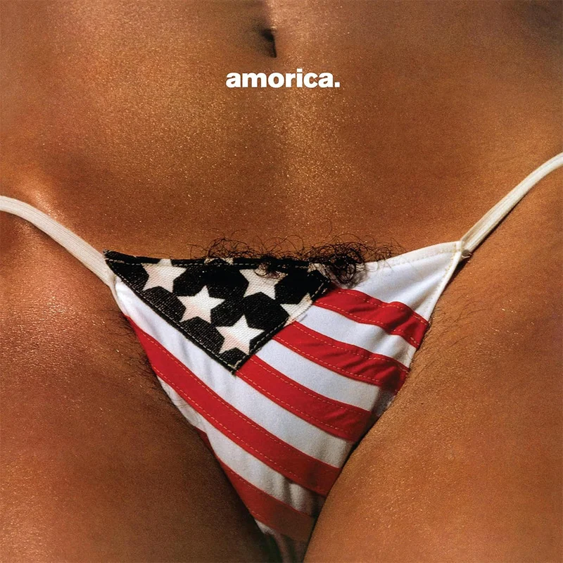 THE BLACK CROWES - Amorica. (Reissue) - 2LP - 180g Vinyl