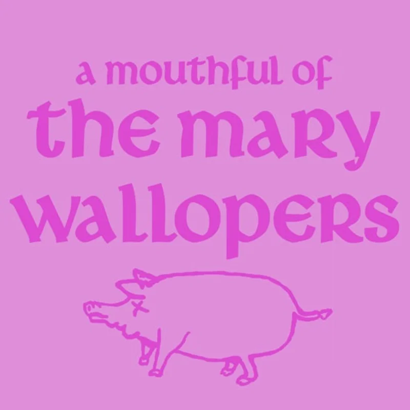 THE MARY WALLOPERS - A Mouthful of Mary Wallopers - 10" - Limited Classic Black vinyl [Record Store Day 2026]