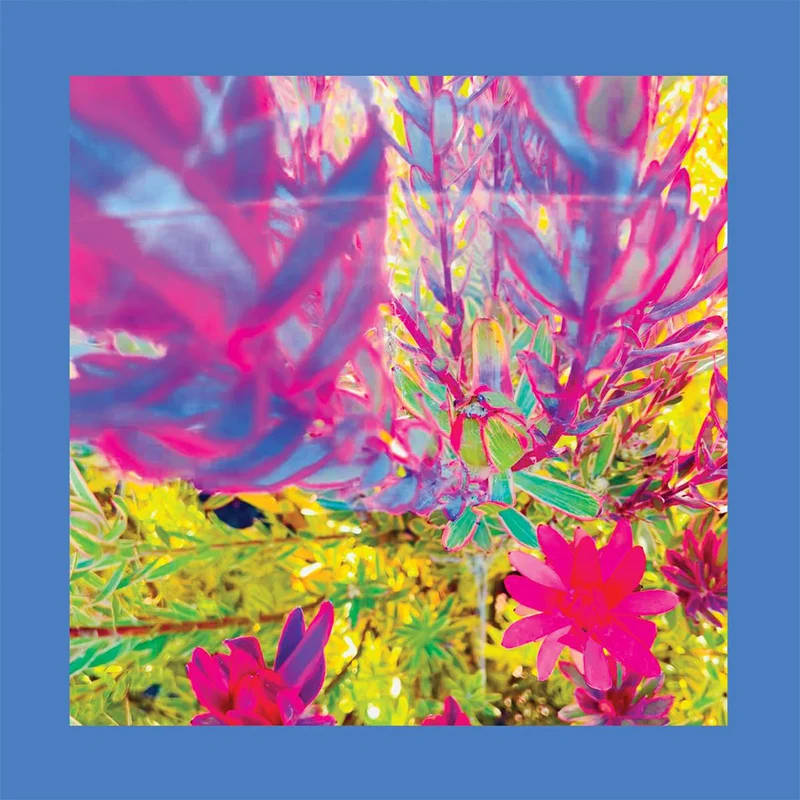 THE REDS PINKS AND PURPLES - The Past is a Garden I Never Fed - CD [JUL 4]