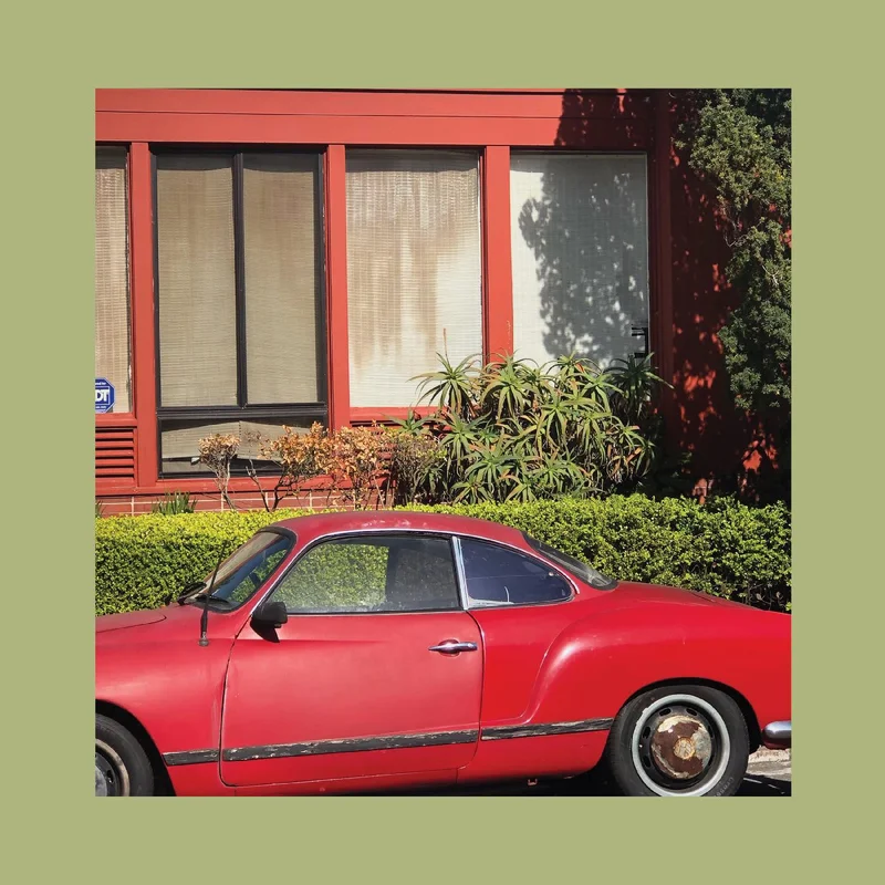 The Reds, Pinks and Purples - The Town That Cursed Your Name - LP