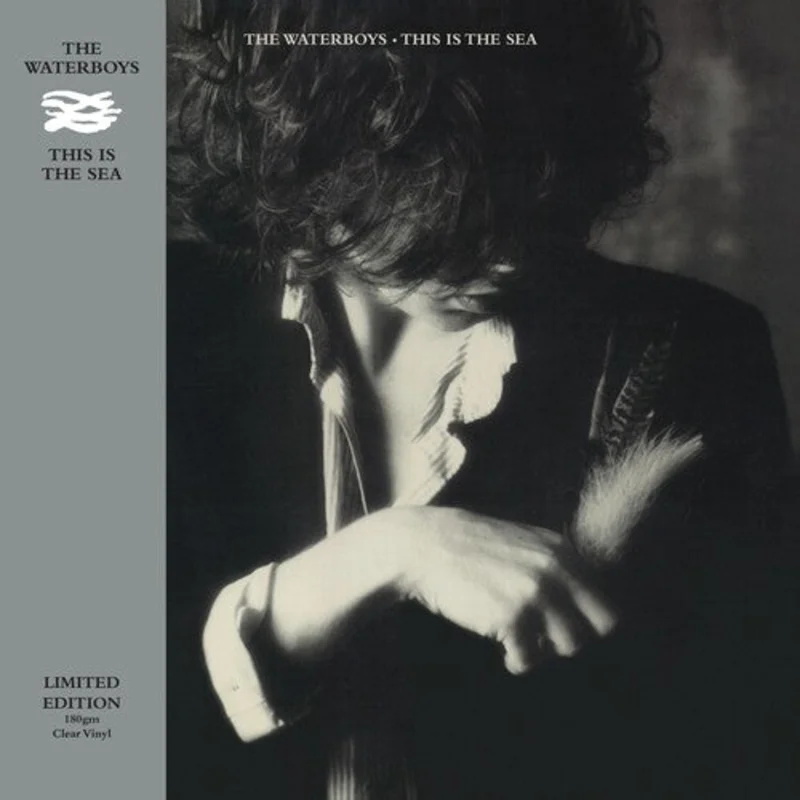 The Waterboys - This Is The Sea - LP