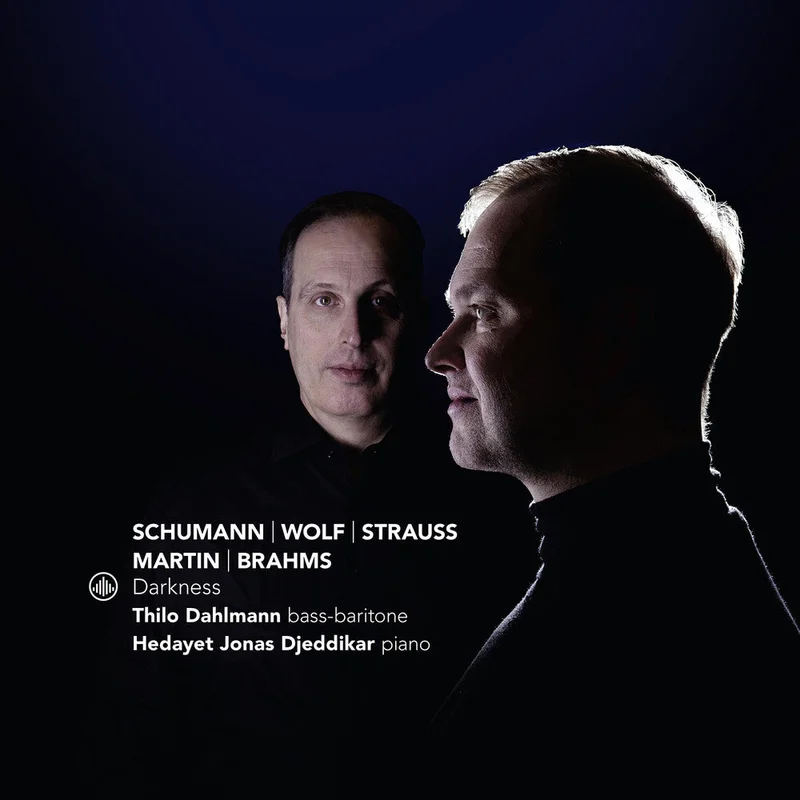 Thilo Dahlmann - Darkness [CD]