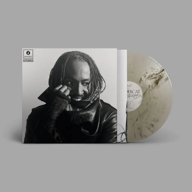 Thundercat - Distracted [Indie Exclusive Black Marbled Smoke Effect]