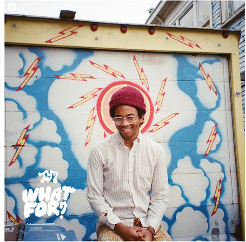 Toro Y Moi - What For? [Vinyl]