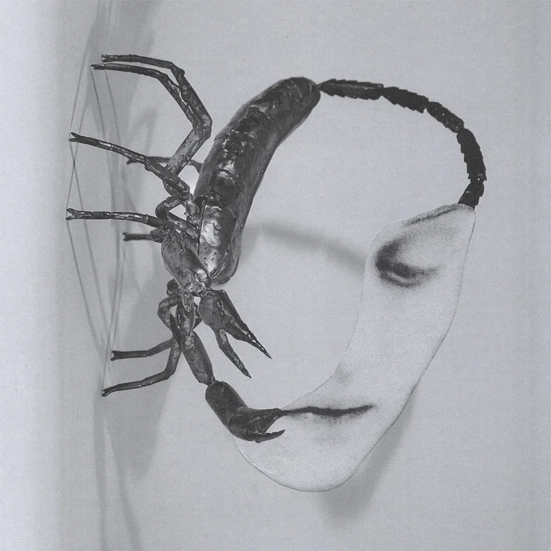 TORTOISE - Touch - LP - Black Vinyl