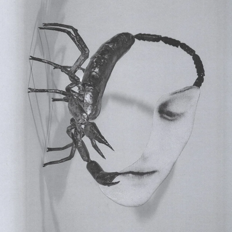 Tortoise - Touch [LP]