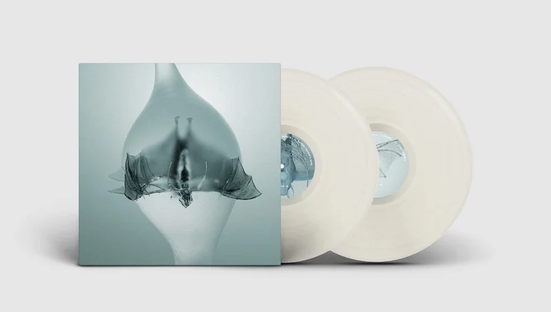Unprocessed - Angel [Clear Vinyl] (Gate)