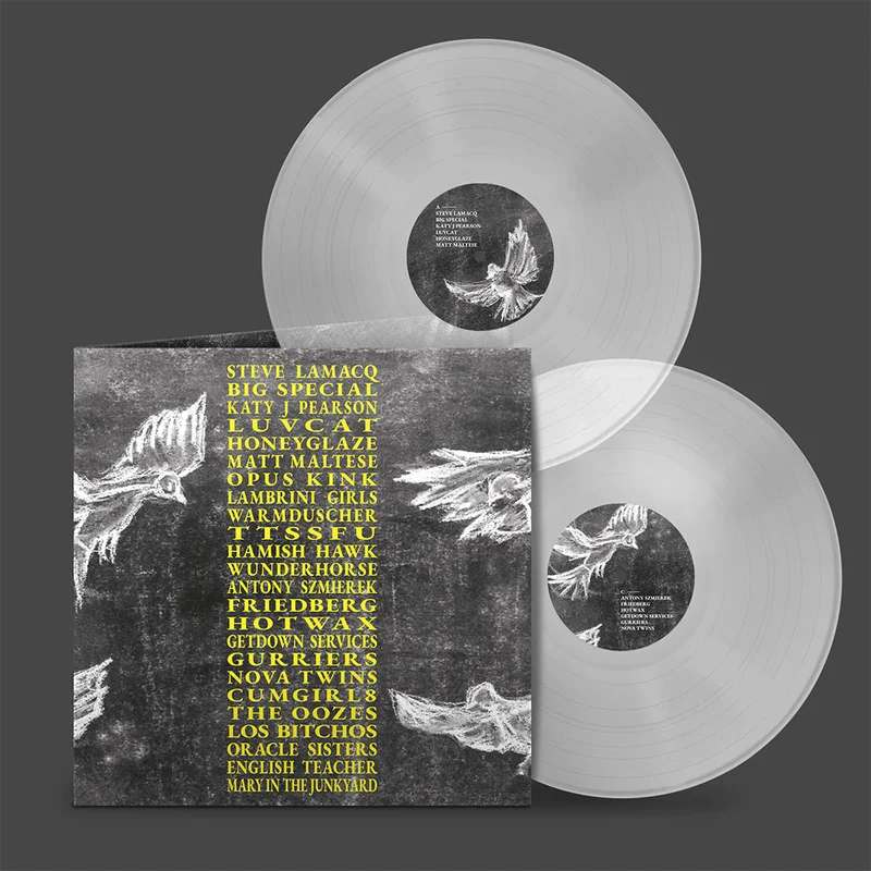 VARIOUS - A Hideous Collective - 2LP - Clear Vinyl