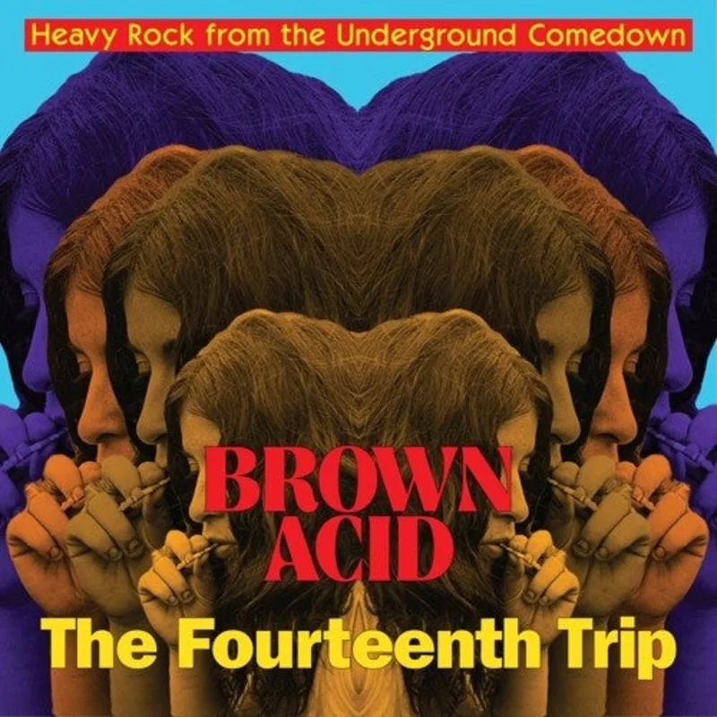 Various Artists - Brown Acid: The Fourteenth Trip - LP