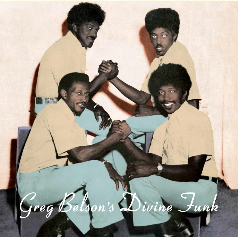 VARIOUS - Greg Belson's Divine Funk (Restock) - LP - Vinyl