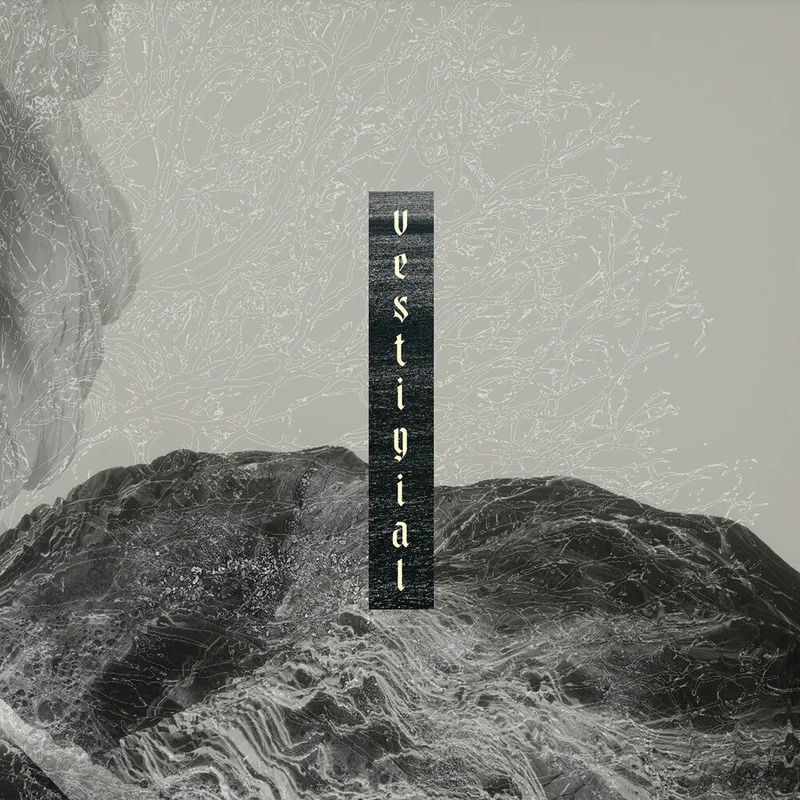 Vestigial - Descending Vastness [CD]