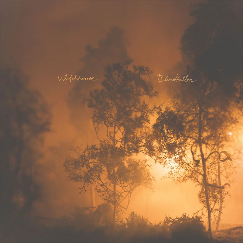 WATCHHOUSE - Blindfaller (Repress) - LP - Vinyl [MAR 20]