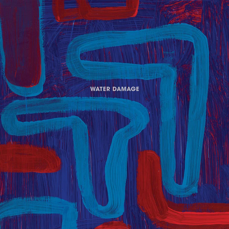 WATER DAMAGE - Instruments - 2LP - Vinyl