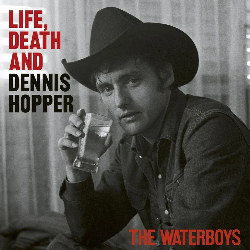 Waterboys - Life Death And Dennis Hopper [CD]