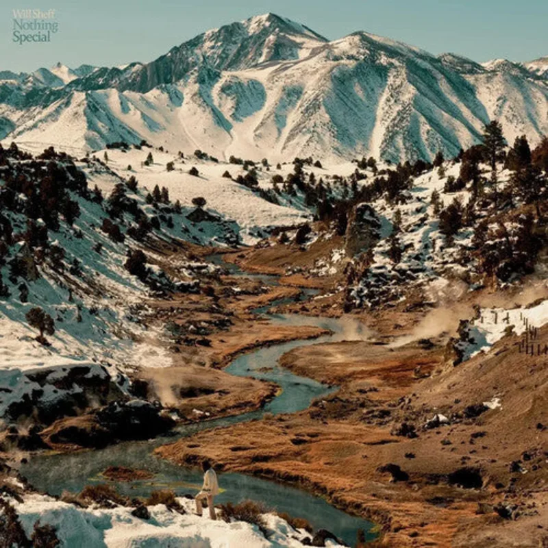 Will Sheff - Nothing Special - LP