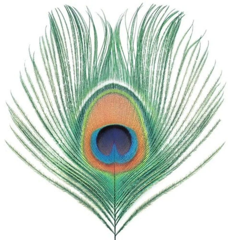 Xtc - Apple Venus Vol 1 [LP]