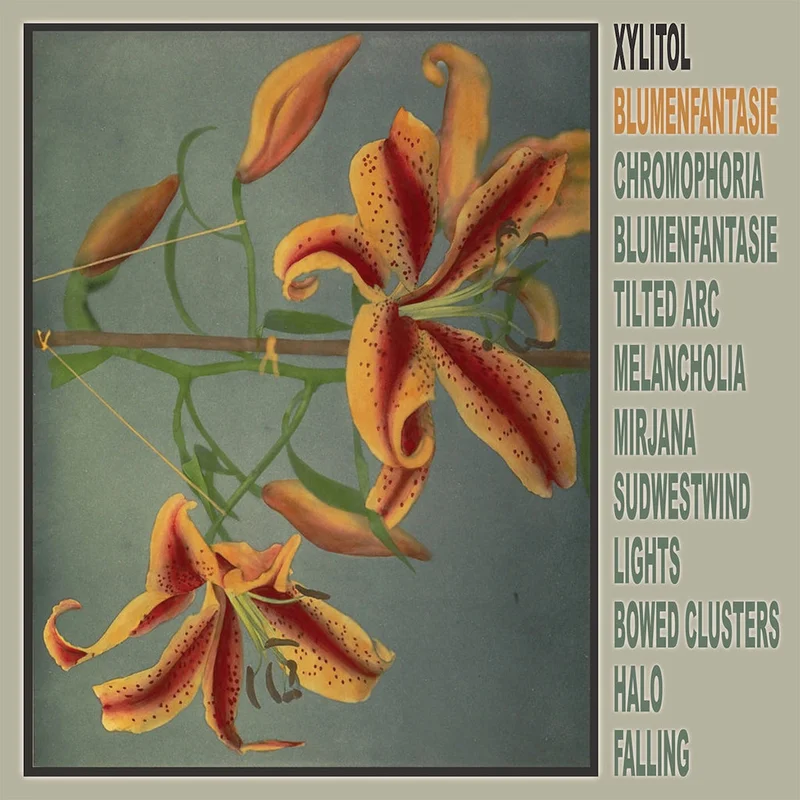 XYLITOL - Blumenfantasie - LP - Vinyl [MAR 20]