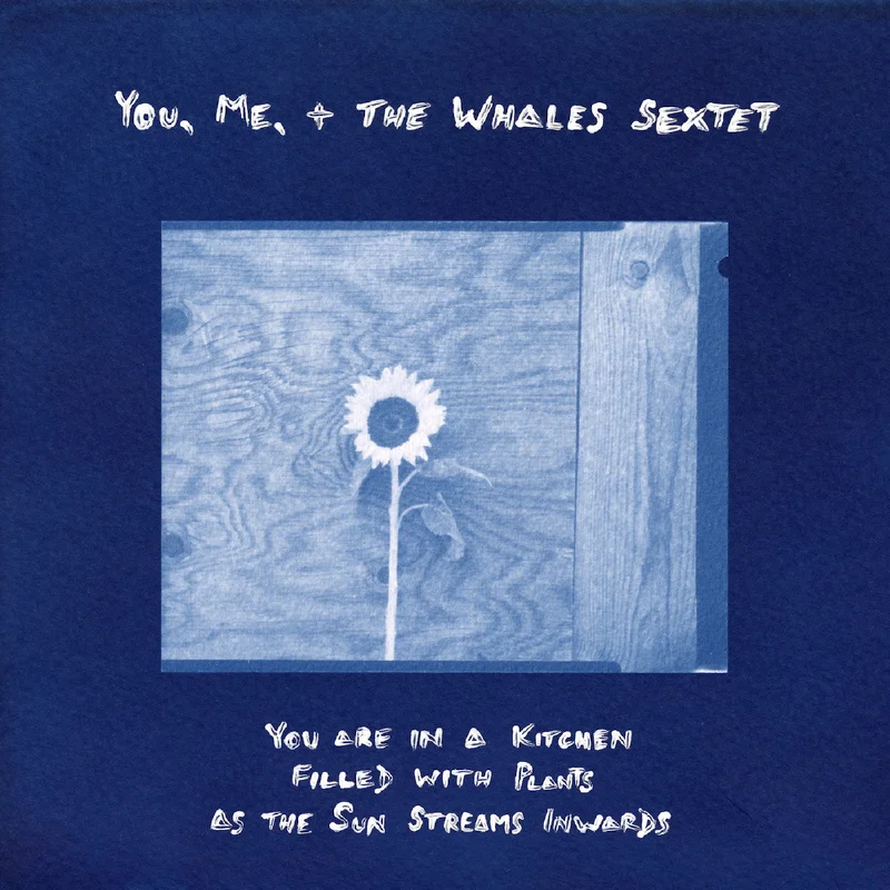 You, Me, + The Whales Sextet - You Are In A Kitchen Filled With Plants As The Sun Streams Inwards (Vinyl LP) PRE-ORDER