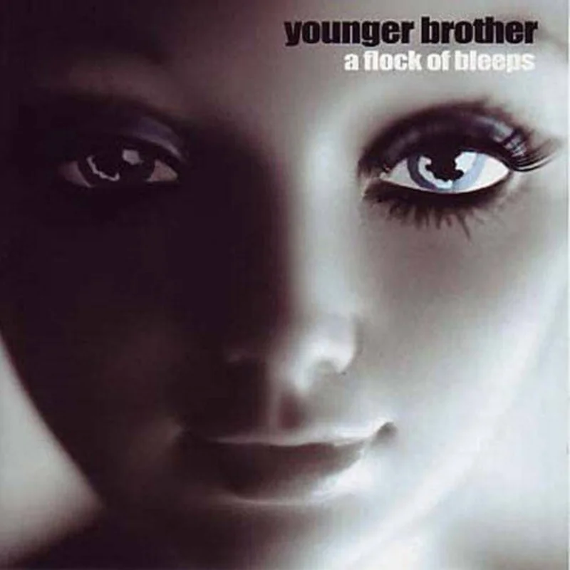 Young Brother - A Flock Of Bleeps - LP