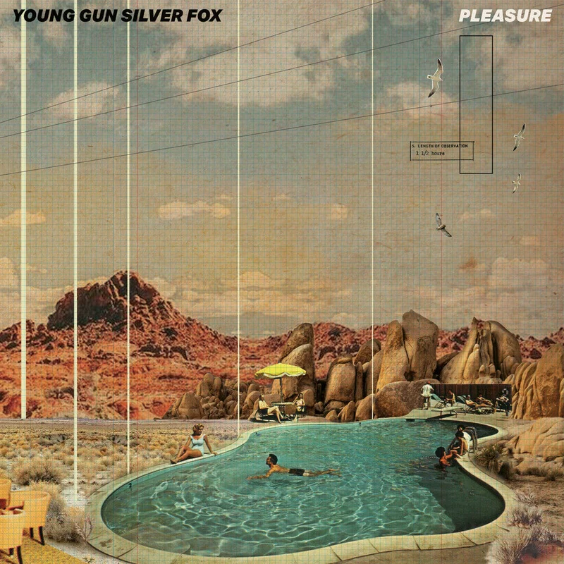 Young Gun Silver Fox - Pleasure [CD]