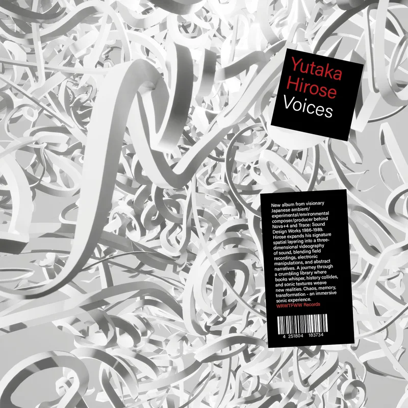 YUTAKA HIROSE - Voices - 2LP - Vinyl